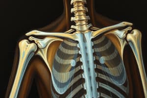 Proximal Humeral and Clavicle Fractures