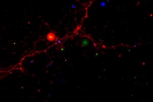 Fluorescence Spectroscopy