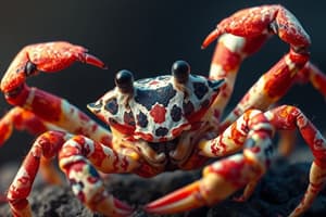 Crab Spider Camouflage in China's Yuan Province