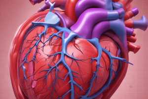 Ventricular Septal Defect (VSD)