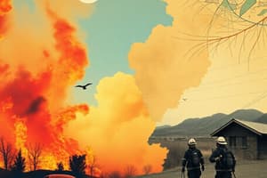 Wildfires Impact and Response in Southern California