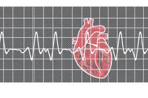 Electrocardiograph Standard Limb Leads