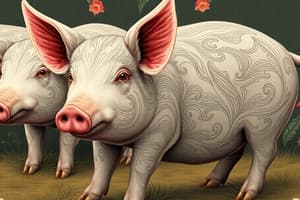 Pigs Quiz