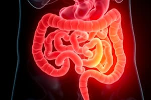 Intestinal Disorders: Appendicitis Overview