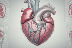 CT Applications in Cardiac Imaging