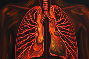 Pulmonary Mechanics and Gas Diffusion