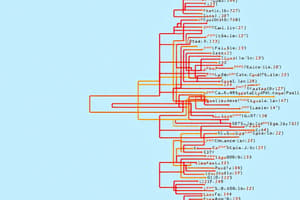 Binary Search Trees Quiz