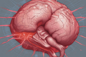 Physical Examination Techniques for Lesions