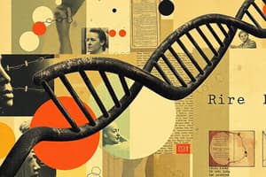 Nucleic Acids and DNA Structure