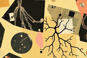 Cell Biology: Protein Synthesis and Cytoskeleton