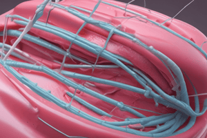 Surgical Sutures Materials Quiz