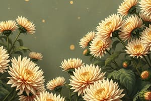 The Chrysanthemums Analysis