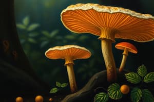 Fungi and Plant Biology