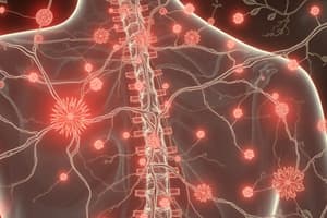 Neuroscience: Pain and Touch Pathways Quiz