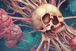 Human Biology: Bone Marrow and Immune System