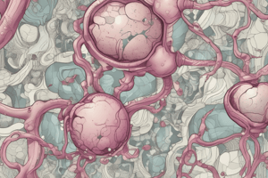 Anatomy of Alveoli Diagram Labeling