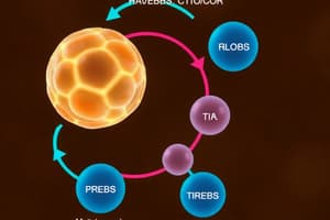 Ciclo de Krebs y Metabolismo Celular