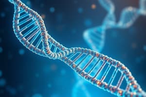 DNA and RNA Composition Quiz