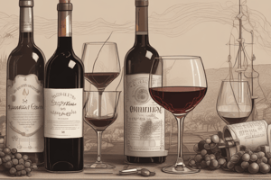 Envejecimiento del Vino: Taninos, Aromas y Bouquet