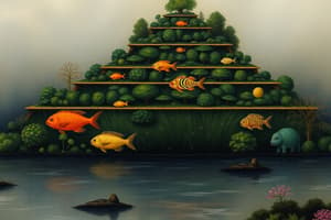 Pyramids of Numbers in Ecosystems