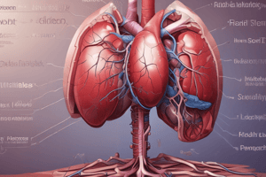 Liver Anatomy and Functions