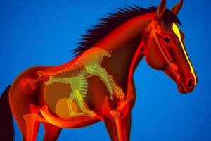 9 Equine Neurologic Disease Diagnostic Tests