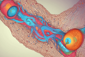 Biochemistry of Aging (Easy)