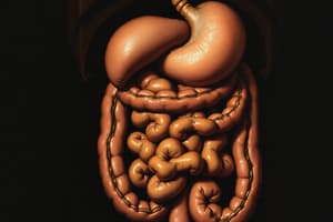 Gastrointestinal Secretion Overview