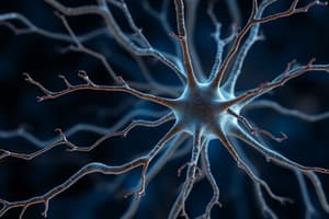 Neuron Communication and Myelination