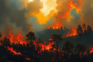 Understanding Zombie Fires in Canada