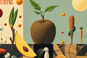 Macro e Micro-nutrienti: Funzioni e Caratteristiche