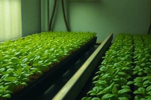 Microgreen Production Systems