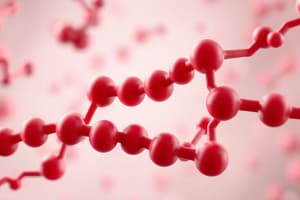 Hemoglobin and Myoglobin Functions Quiz