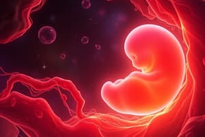 Prenatal Development Stages and Gamete Formation