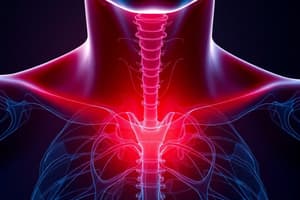 Hyperthyroidism and Hypothyroidism Overview