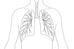 Fisiologia del Sistema Respiratorio (Fisiologia 48)