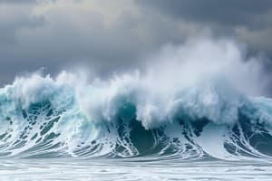 Understanding Tsunamis: Causes, Impacts and TWS