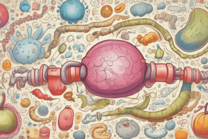 Biochemistry LE 3: Integration of Carbohydrates and Lipids