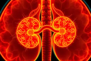 Renal Scintigraphy Techniques