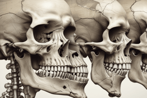 Long Bone Components Quiz