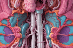 Bronchiectasis Overview