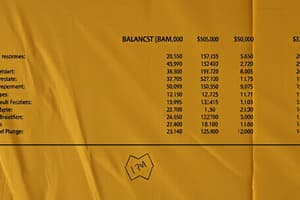 4th Chapter: Balance Sheet Basics