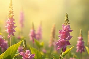 Tea, Digitalis & Senna: Origins, Uses & Tests