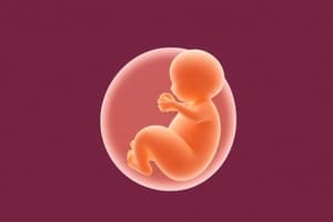 Embryonic Period: Weeks 3-8