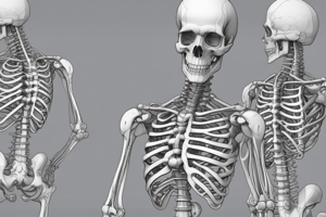 Anatomy of the Shoulder Joint