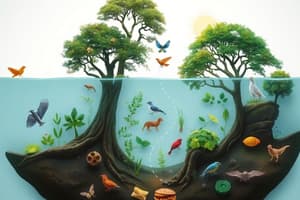 Ecosystems and Food Chains