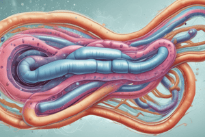 Vibrio Cholerae: Caractéristiques et Traitement