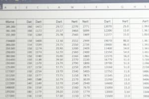 MS Excel Basics