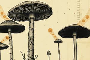 Fungi Kingdom Overview Quiz