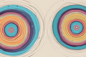 Mitosis and Cytokinesis Process